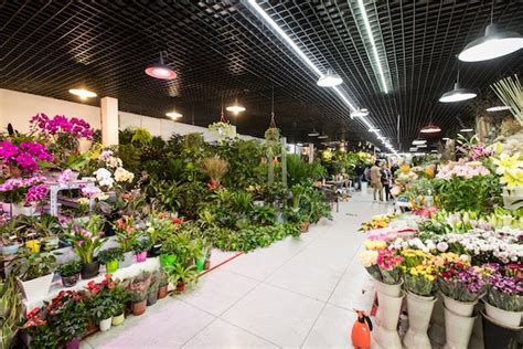 亮馬花卉市場怎麼樣，它是否能成為京師花市的新銳之選？